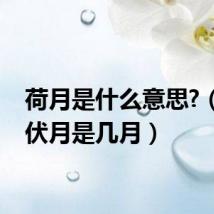 荷月是什么意思?（荷月伏月是几月）