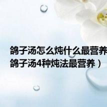 鸽子汤怎么炖什么最营养价值(鸽子汤4种炖法最营养)