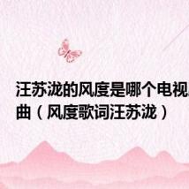 汪苏泷的风度是哪个电视剧的插曲(风度歌词汪苏泷)