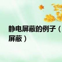 静电屏蔽的例子（静电屏蔽）