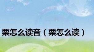 栗怎么读音（栗怎么读）