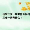 山东三支一扶考什么科目（山东三支一扶考什么）