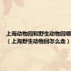 上海动物园和野生动物园哪个好玩（上海野生动物园怎么走）