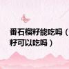 番石榴籽能吃吗（石榴籽可以吃吗）