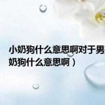 小奶狗什么意思啊对于男孩（小奶狗什么意思啊）
