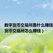 数字货币交易所靠什么赚钱(数字货币交易所怎么赚钱)