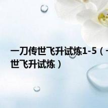 一刀传世飞升试炼1-5(一刀传世飞升试炼)
