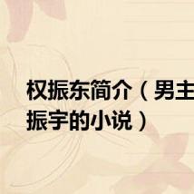 权振东简介（男主叫权振宇的小说）