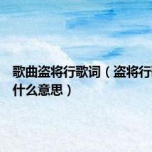 歌曲盗将行歌词(盗将行歌词是什么意思)