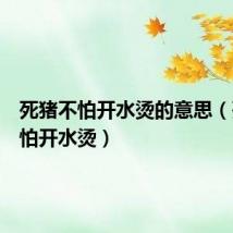 死猪不怕开水烫的意思（死猪不怕开水烫）
