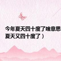 今年夏天四十度了啥意思(今年夏天又四十度了)