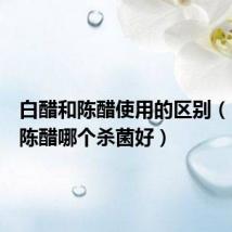 白醋和陈醋使用的区别(白醋和陈醋哪个杀菌好)