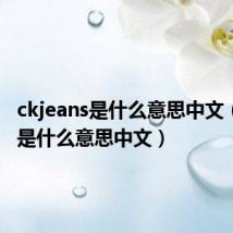 ckjeans是什么意思中文(jeans是什么意思中文)