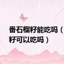 番石榴籽能吃吗（石榴籽可以吃吗）