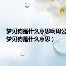 梦见狗是什么意思啊周公解梦(梦见狗是什么意思)