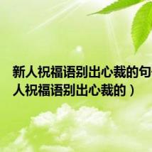新人祝福语别出心裁的句子(新人祝福语别出心裁的)