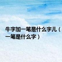 牛字加一笔是什么字儿(牛字加一笔是什么字)
