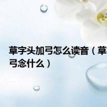 草字头加弓怎么读音（草字头加弓念什么）