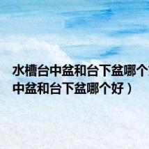 水槽台中盆和台下盆哪个好(台中盆和台下盆哪个好)