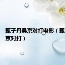 甄子丹吴京对打电影(甄子丹吴京对打)