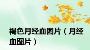 褐色月经血图片（月经血图片）