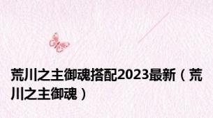 荒川之主御魂搭配2023最新（荒川之主御魂）