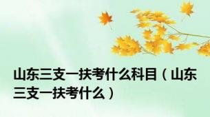 山东三支一扶考什么科目（山东三支一扶考什么）