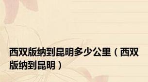 西双版纳到昆明多少公里（西双版纳到昆明）