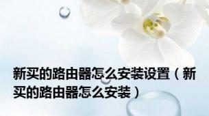 新买的路由器怎么安装设置（新买的路由器怎么安装）