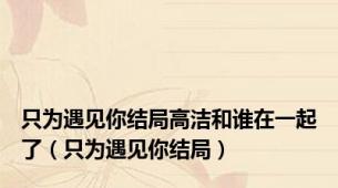 只为遇见你结局高洁和谁在一起了（只为遇见你结局）