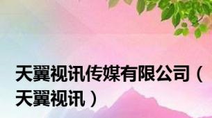 天翼视讯传媒有限公司（天翼视讯）
