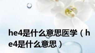 he4是什么意思医学（he4是什么意思）