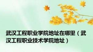 武汉工程职业学院地址在哪里（武汉工程职业技术学院地址）