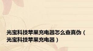 光宝科技苹果充电器怎么查真伪（光宝科技苹果充电器）