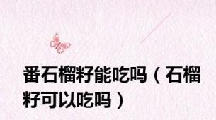 番石榴籽能吃吗（石榴籽可以吃吗）