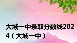 大城一中录取分数线2024（大城一中）