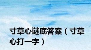 寸草心谜底答案（寸草心打一字）
