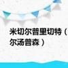 米切尔普里切特（米切尔汤普森）