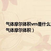气体摩尔体积vm是什么意思（气体摩尔体积）