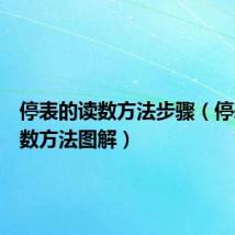 停表的读数方法步骤（停表的读数方法图解）