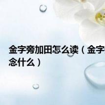 金字旁加田怎么读（金字旁加田念什么）
