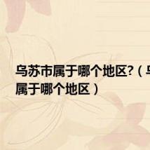 乌苏市属于哪个地区?（乌苏市属于哪个地区）