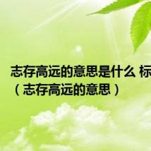 志存高远的意思是什么 标准答案（志存高远的意思）