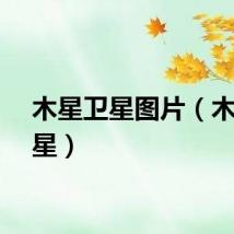 木星卫星图片（木星卫星）
