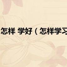 怎样 学好（怎样学习好）