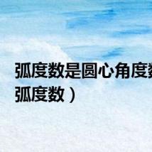 弧度数是圆心角度数吗（弧度数）