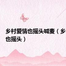 乡村爱情也摇头喊麦（乡村爱情也摇头）