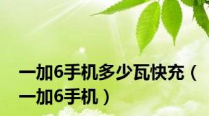 一加6手机多少瓦快充（一加6手机）