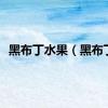 黑布丁水果（黑布丁）