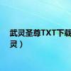 武灵圣尊TXT下载（武灵）